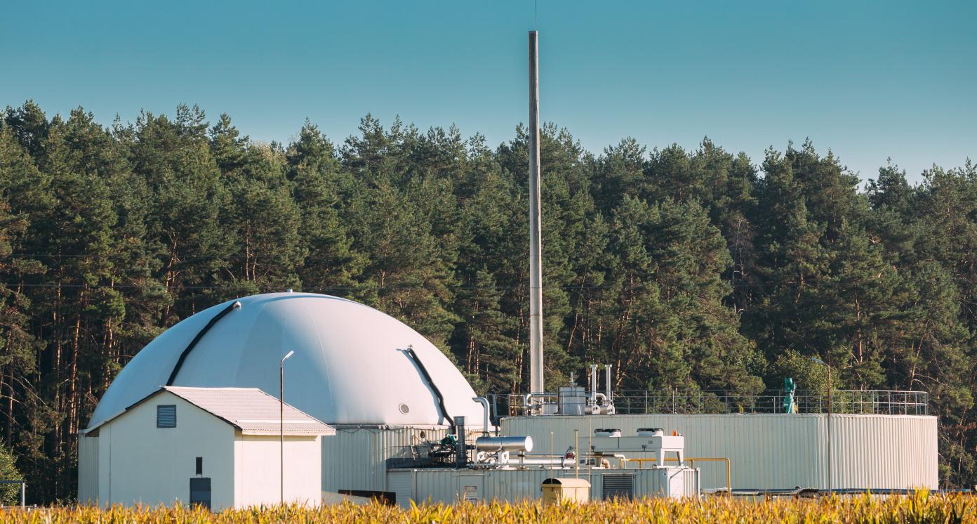 biogas