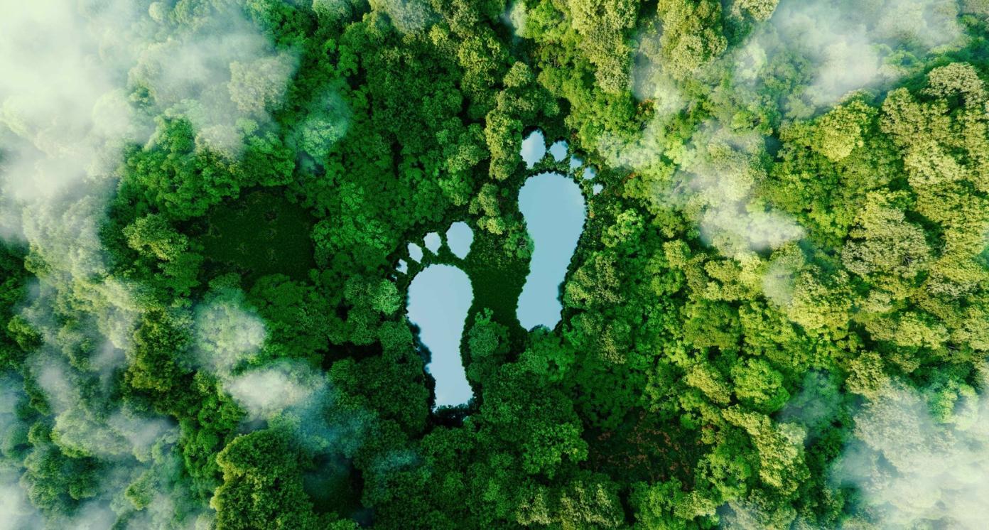 Sustainable Tourism