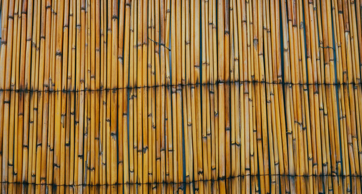 Bamboo wall
