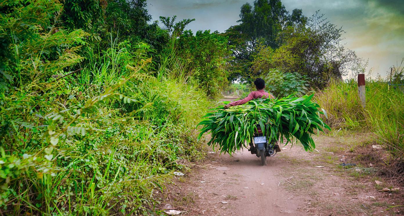 Farmer on a bike
