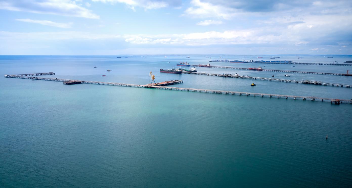 Bulk Port Expansion