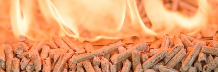 Biomass