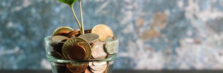 Money pot