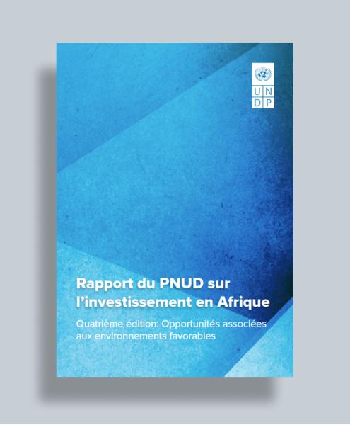 UNDP Africa Investment Insights Report, Fourth Edition – French cover